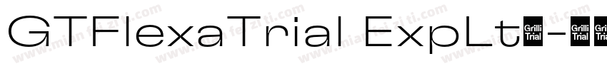GTFlexaTrial ExpLt◆字体转换